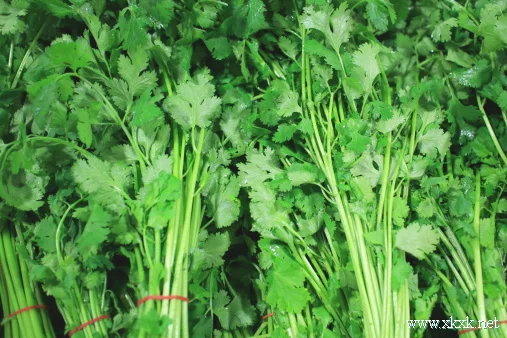 原味饮食+优质油脂 科学瘦身吃法