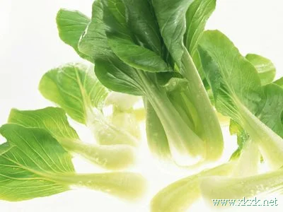 减肥狂吃蔬菜 小心肾结石