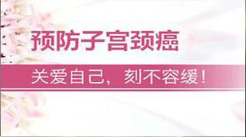 3.webp