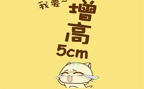 5.webp