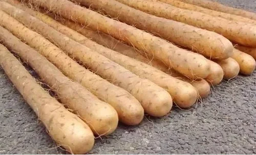 秋燥推荐5种润肺去燥食物