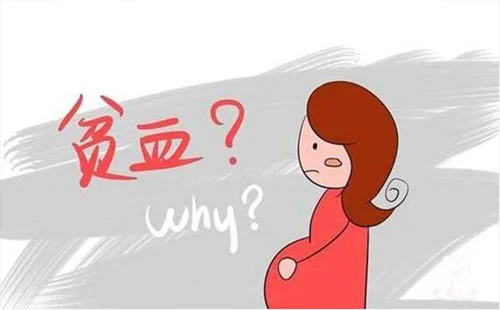 拼首轮.webp