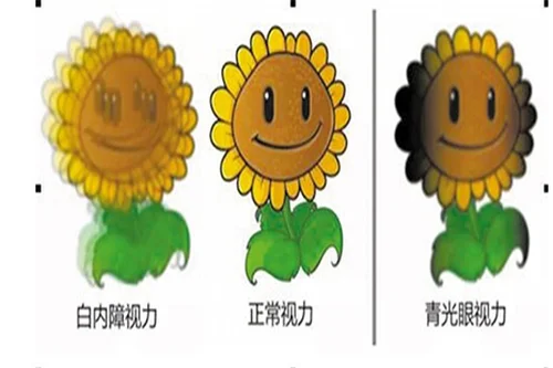 2.webp
