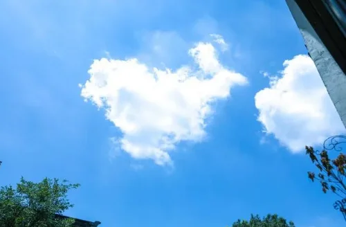 微信截图_20200829120534.webp
