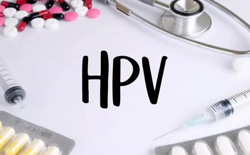 hpv2.webp