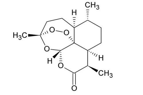 c33.webp