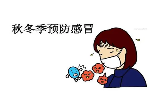 秋冬603.webp