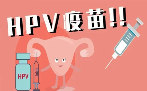hpv2.webp