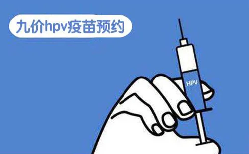 未标题-1.webp