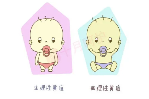 c38.webp