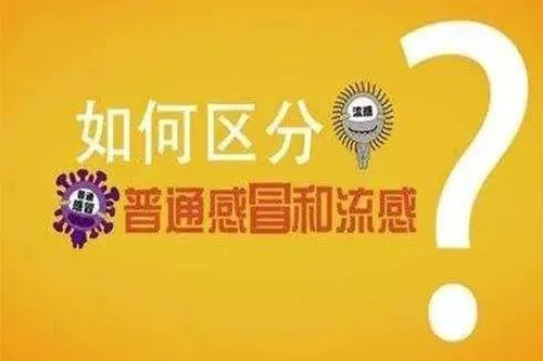7.webp