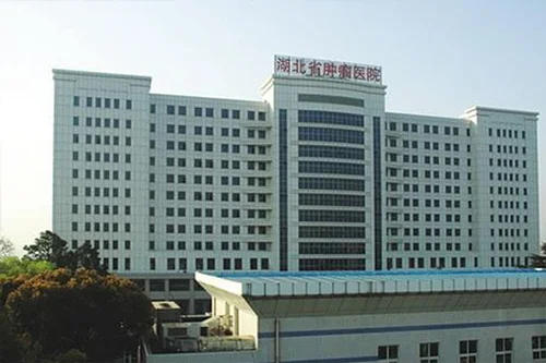 武汉最好的中医院在哪 武汉中医院哪家好 湖北武汉三甲