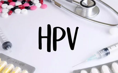 hpv2.webp