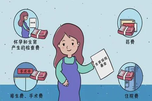 保险603.webp