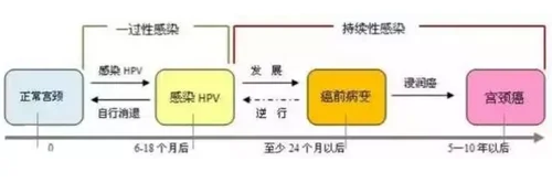 45.webp