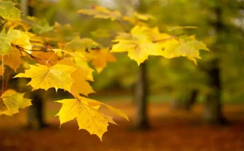 微信截图_20200903105852.webp