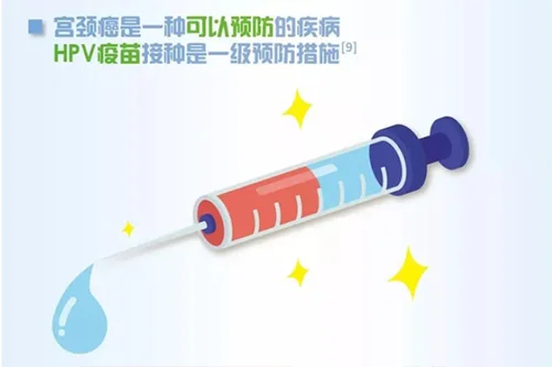 5.webp
