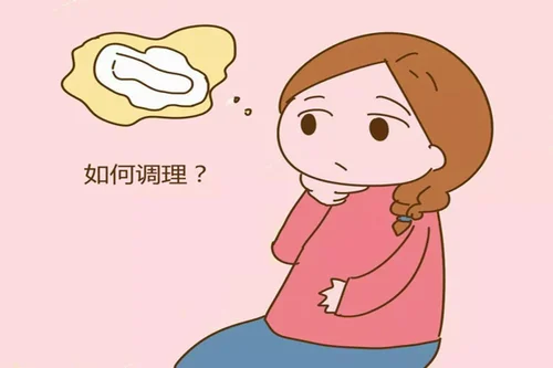 大枣.webp
