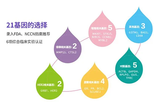 4.webp