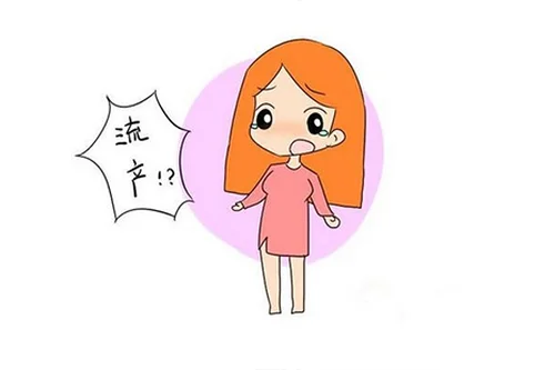 55.webp