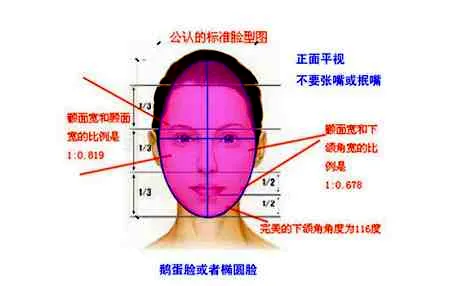标准脸是鹅蛋脸吗 鹅蛋脸是公认的最招人喜欢