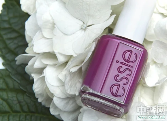 Essie美甲色彩系列 让你爱不释手的美甲产品