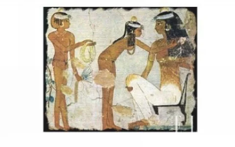 塔莉卡植物盈润精华油 温暖呵护冬日美肌