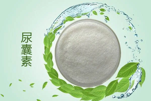 尿囊素.webp