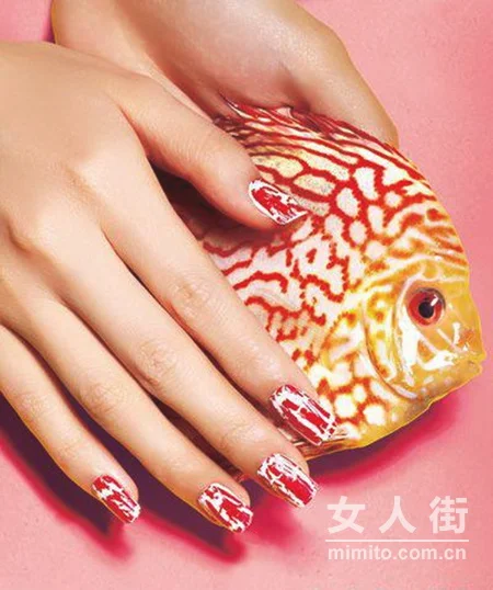 最IN动物风 蛇鸟鱼虫上指尖