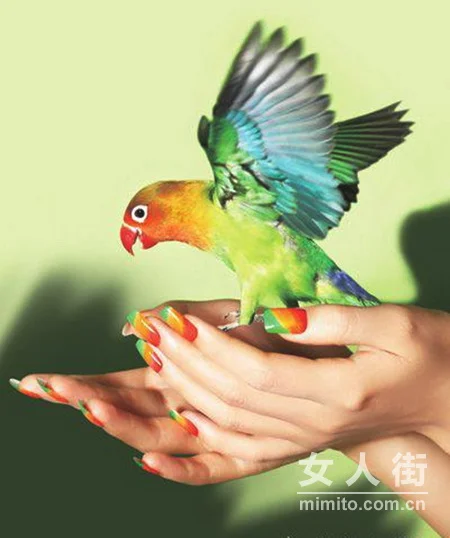 最IN动物风 蛇鸟鱼虫上指尖