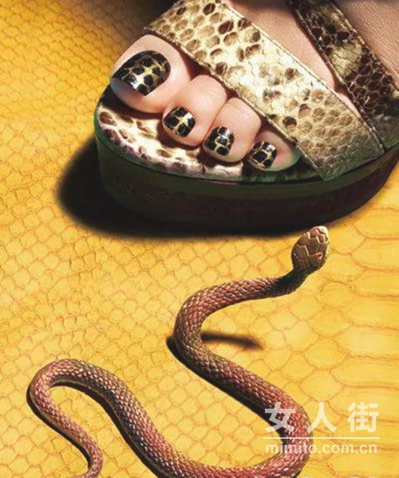 最IN动物风 蛇鸟鱼虫上指尖