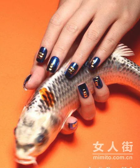 最IN动物风 蛇鸟鱼虫上指尖