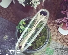 微针可以自己在家做吗?家用微针帮你祛痘